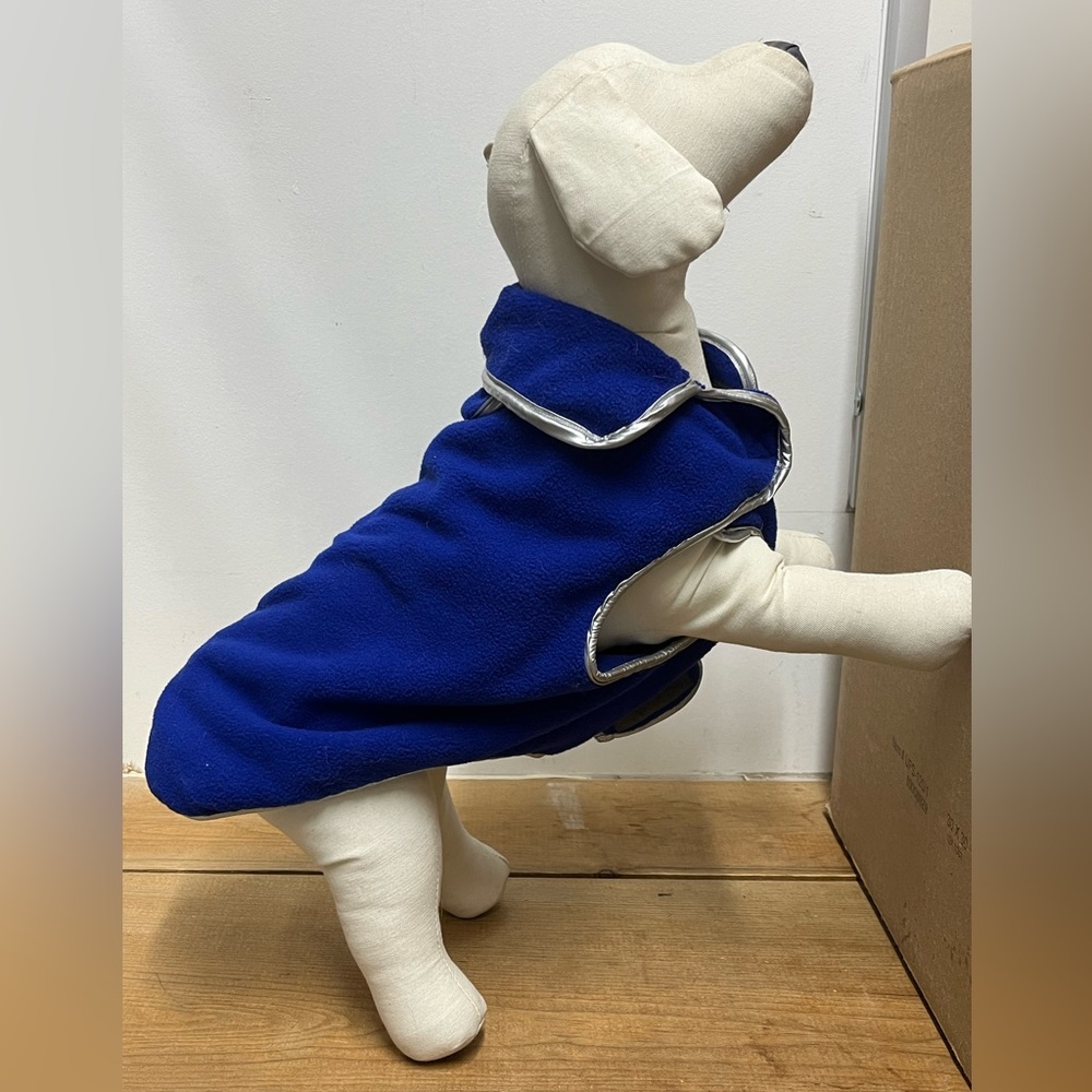 Model Dog - Picture 4 of 6